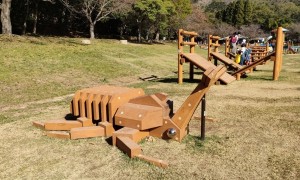 木製アスレチック遊具