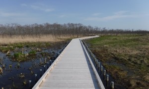 国立公園、木道