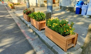 森林環境譲与税、プランター