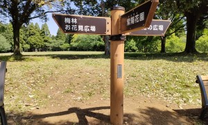 森林環境譲与税、木製サイン