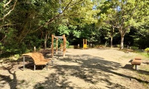 木製健康器具、健康遊具
