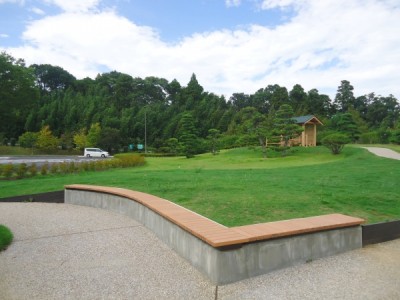 ベンチ