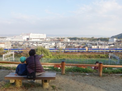 ベンチ