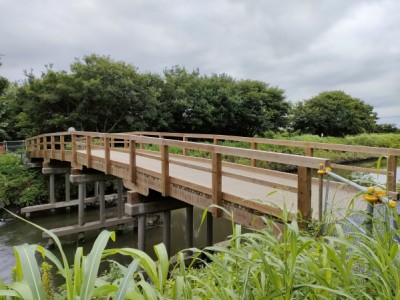木橋、桜橋