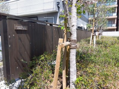 木塀、板塀