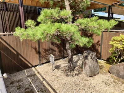 木塀、板塀