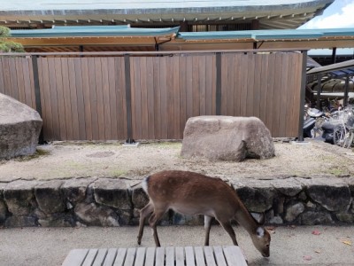 木塀、板塀