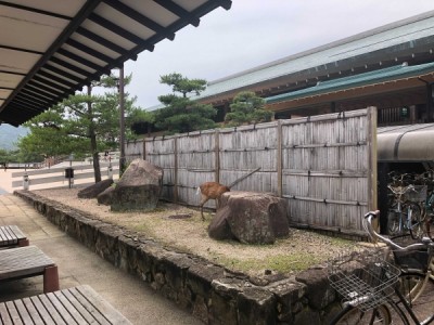 木塀、板塀