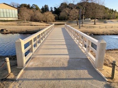 木橋