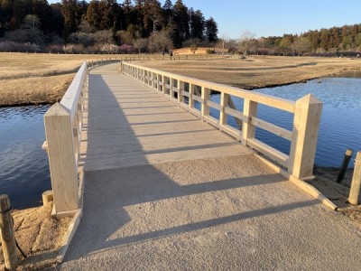 木橋