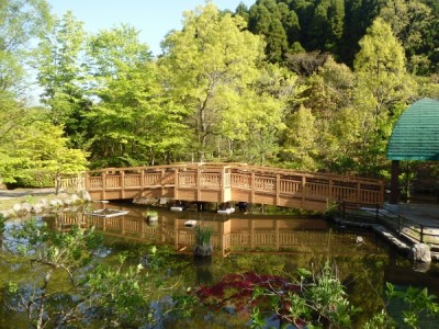 木橋