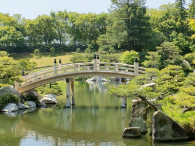 木橋