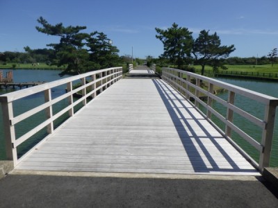 木橋