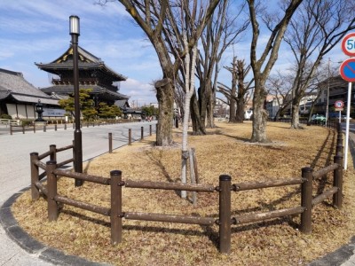 木柵