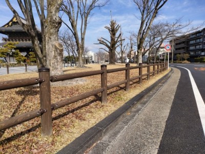 木柵