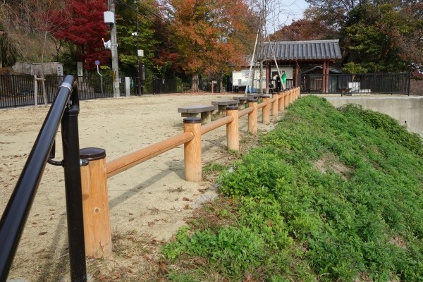全景