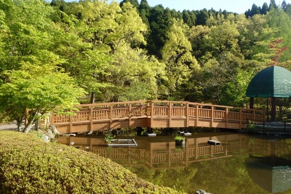 木橋