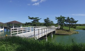 木橋