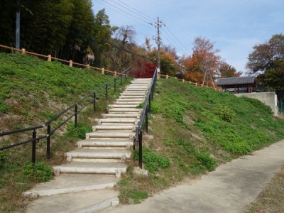 丸太階段