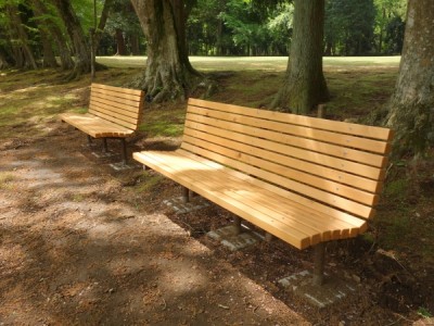木製ベンチ、泉自然公園
