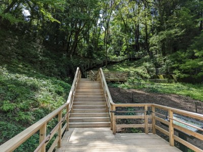 木製階段、木道