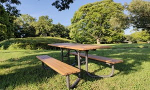 森林環境譲与税、ベンチ、野外卓