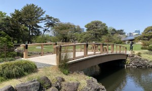 木橋