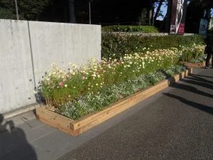 施工実績更新しました 12月の特集 花壇 プランター 株式会社ザイエンス 施工実績更新しました 12月の特集 花壇 プランター 株式会社ザイエンス