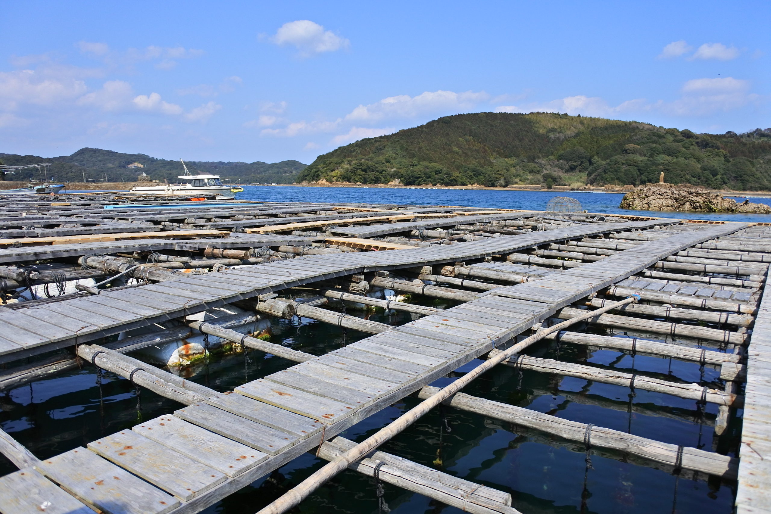 タナリスcyで加圧注入処理を施した真珠養殖イカダ用丸太について 九州営業所 株式会社ザイエンス タナリスcyで加圧注入処理を施した真珠養殖イカダ用丸太について 九州営業所 株式会社ザイエンス