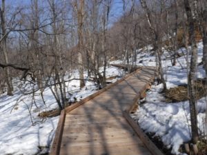 釧路湿原国立公園（北海道）